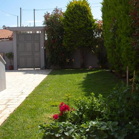 Elias Studio - Near To The Port Of Rafina And The Airport Of Athens Agios Spyridon  Esterno foto